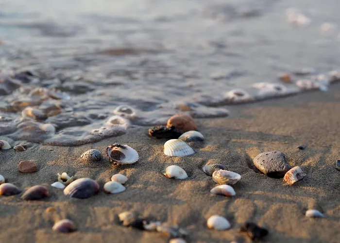 Flat A Few Steps From The * Bibione